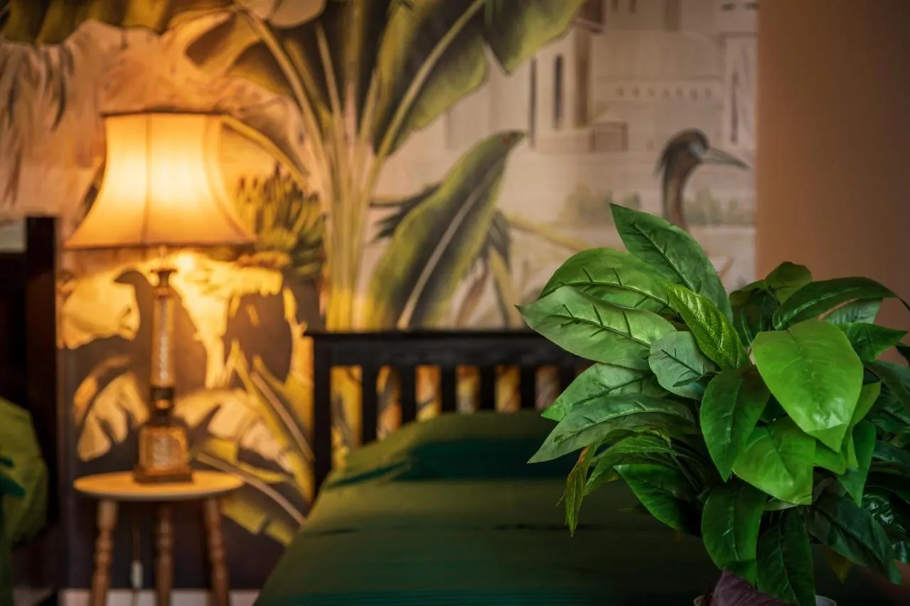 The Tropical House Tirana Apartment Albania