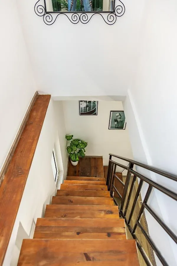 The Tropical House Tirana Apartment